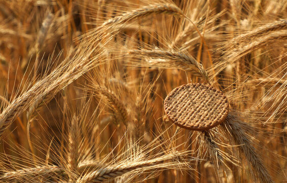 Textured round biscuit surrounded by ripe wheat ears in warm sunlight, symbolizing agricultural abundance, natural food and the farm-to-table concept. Part of the "Agriculture" series.