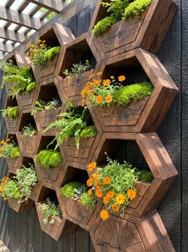 Stunning wooden honeycomb planters with vibrant plants and flowers in modern garden design