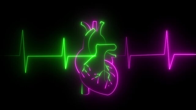 Neon glowing heartbeat line animation isolated on a black background. Futuristic ECG pulse icon with luminous electrocardiogram waveform representing heart health 4k video animation.