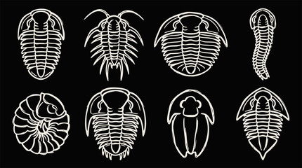 Eight white outline trilobite fossils on a black background, various shapes and sizes © !jungkirbaliʞ