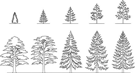 Obraz premium Collection of various coniferous tree silhouettes for landscape design