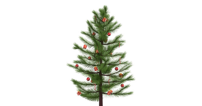 Christmas tree on white background