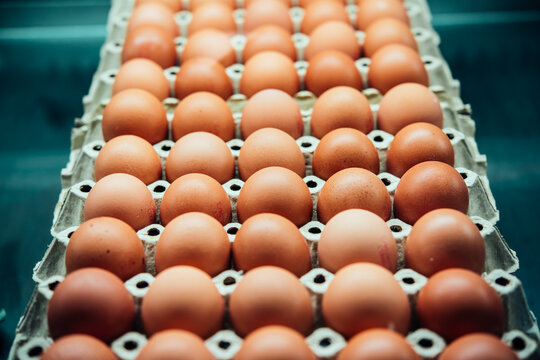 Chicken eggs on sale at the market.