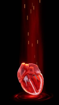 This 3d render shows a detailed human heart in sectional view illuminated by a glowing red light against a black background.