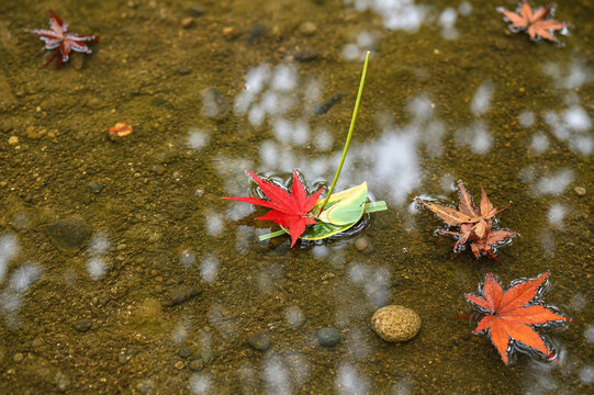 笹船に浮かぶ紅葉と水面に映る木々の美しい和風風景