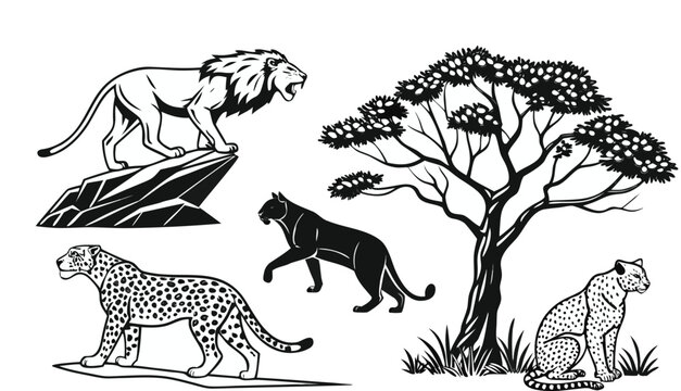A comprehensive black-and-white coloring book page featuring a collection of various wild cat species arranged across a clean white background. The subjects include a majestic male lion sitting, a lio