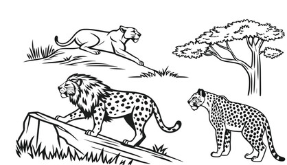 A comprehensive black-and-white coloring book page featuring a collection of various wild cat species arranged across a clean white background. The subjects include a majestic male lion sitting, a lio © joyrun12