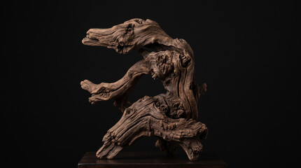 Fototapeta premium Weathered driftwood sculpture on a dark background showing natural wood grain texture.