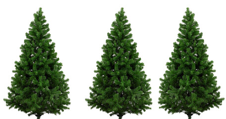 Fototapeta premium Christmas tree on white background
