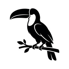 Toucan silhouette, isolated on white background, flat vector. © MDAMIR