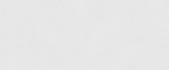 Black and white Topographic map like abstract backdrop. Fractal lines, organic pattern print, Seamless earth line, Wavy lines shaped like the contours of the land, geographic grid map, mountain, area. © bayu