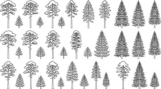 Collection of various coniferous and deciduous tree silhouettes for architectural rendering