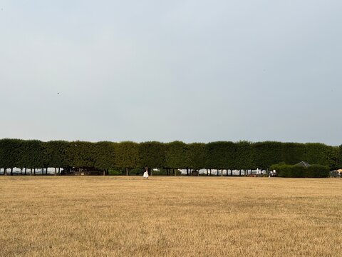 Lone woman walking across a dry field