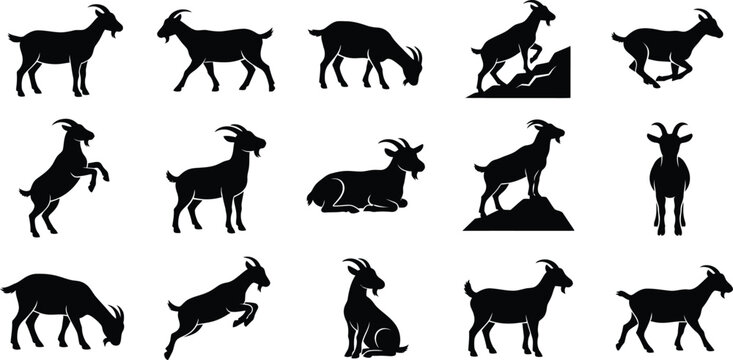 Goat silhouette set, farm animal vector icons, standing, walking, grazing, climbing, jumping, rearing, resting, sitting, isolated white background, black design