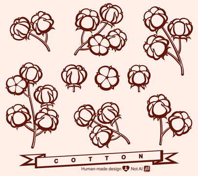 Cotton set. Collection cotton icons. Vector