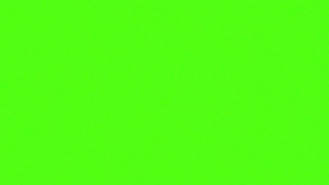 Vibrant Green Background: A solid, electric green backdrop, perfect for adding a splash of color or serving as a canvas for creative design.