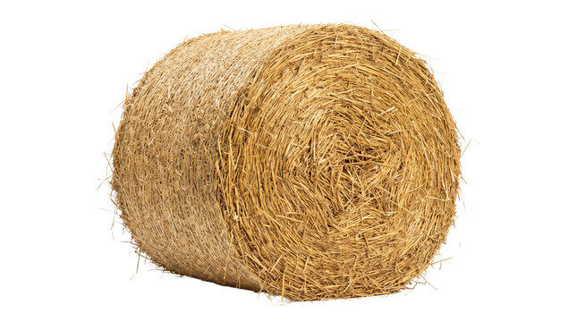Hay bale agriculture dry grass for livestock fodder farm cattle feed isolated on transparent background.