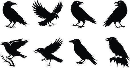 Naklejka premium Crow and raven silhouette vector illustration set featuring flying, perched, standing, wings spread, bird poses, and nature symbolism