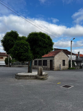 Village square tree and fountain on Camino de Santiago Spain