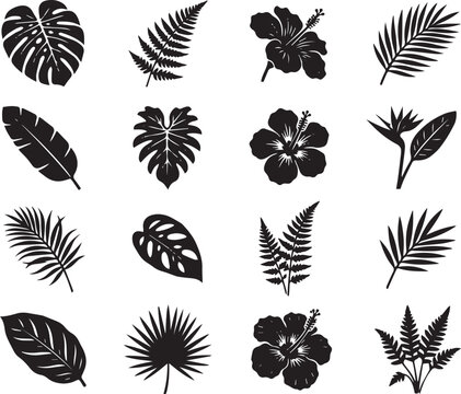 A collection of various tropical plant leaves and exotic flower icons presented in a clean and minimalist black graphic style silhouette