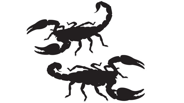 Scorpions Silhouette Pair Facing Opposite Directions on White Background Featuring Scorpion, Arachnid, Insect with Nature