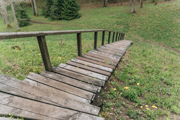 Fototapeta premium wooden staircase on forest hillside surrounded by green grass