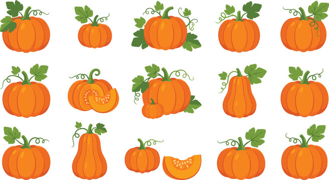 Set of fresh whole and sliced orange pumpkins with green vines isolated on white background