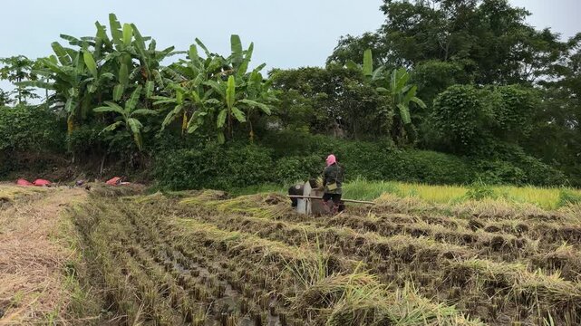 Local farmers threshing rice with a homemade machine during the harvest season in Lang Son, Vietnam.