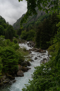 Vertical view of a powerful rushing mountain stream cascading over rocks through a green forest landscape