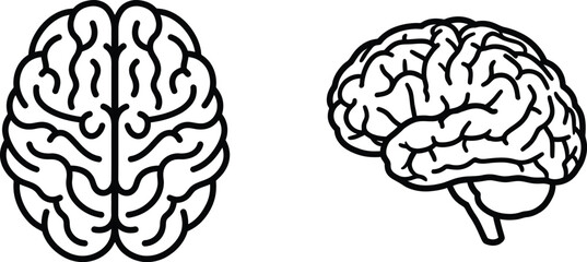 Fototapeta premium Human Brain Anatomy Outline Icons Front and Side View Medical Vector Illustration