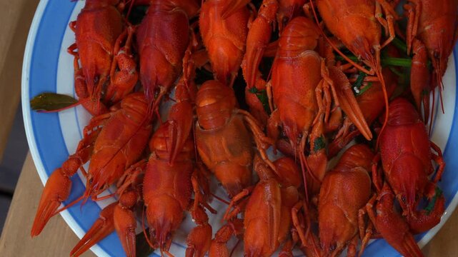 River boiled crayfish or crawfish, snack to beer. Plate of boiled red river crayfish, seafood. 4k slow rotation, top view.
