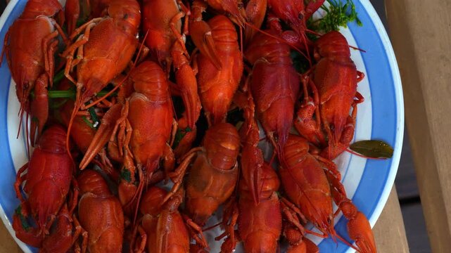 River boiled crayfish or crawfish, snack to beer. Plate of boiled red river crayfish, seafood. 4k slow rotation, top view.