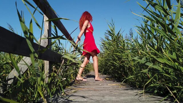  Provocative woman in red dress dancing on wooden pathway in reed
