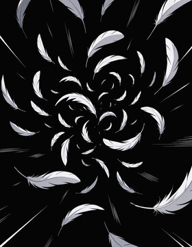 Swirling white feathers vortex and abstract background on black