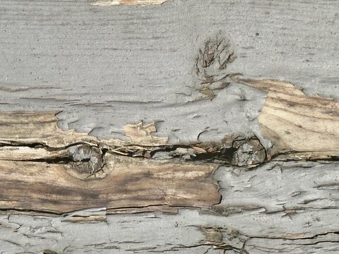 Rustic, textured weathered wood background