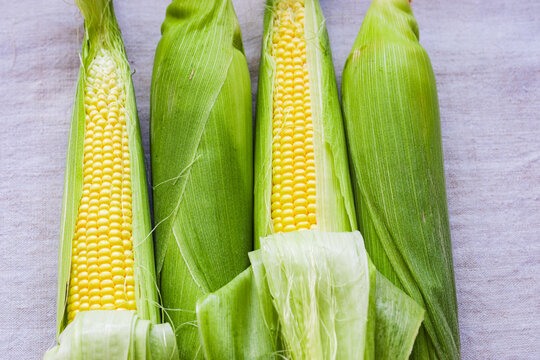 fresh sweetcorn on the cob. Tasty summer's vegetables. Closeup of yellow kernels' rows on a woody cob. 