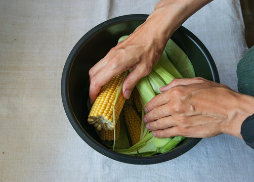 Fresh sweetcorn on the cobs are in a pot. Female hands cover corn cobs with green corn leaves. Sweetcorn cooking. 