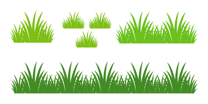 green grass illustration, sustainable grass nature, grass design in flat style	