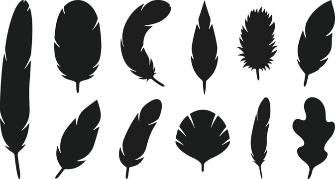 A collection of various bird feather silhouettes isolated on a white background for creative design and art projects