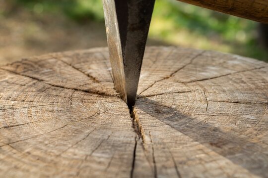 Axe blade embedded in center of round log, close-up impact point, outdoor light, wood grain detail.