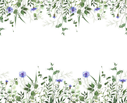 Watercolor painted floral and greenery seamless border frame. Blue wild cornflower, green plants, branches, leaves and twigs. Summer reach nature design template.