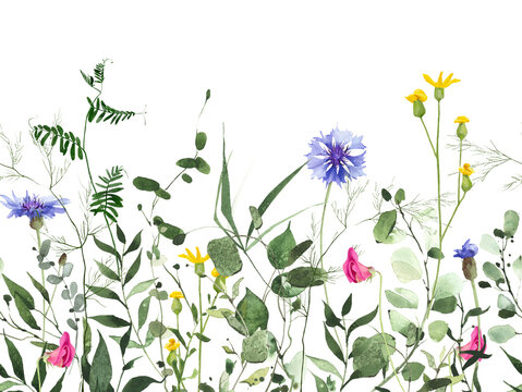 Watercolor painted floral and greenery seamless border frame. Blue cornflower, yellow and pink wild flowers, green plants, branches, leaves and twigs. Summer reach nature design template.