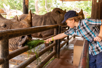 Young white boy feeding a rhino at a wildlife sanctuary © Rawpixel.com