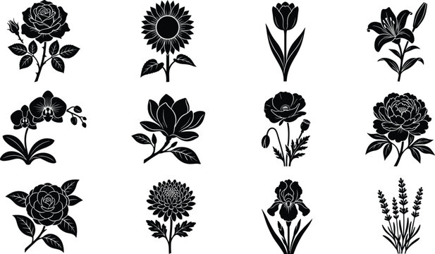 Botanical Flower Silhouette Icon Set Featuring Rose, Sunflower, Tulip, Lily, Orchid, Magnolia, Poppy, Peony, Iris, Lavender, and Floral Vector Symbols