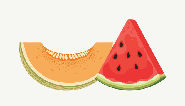 Delicious slices of sweet orange cantaloupe melon and fresh red juicy watermelon against a clean light grey background.