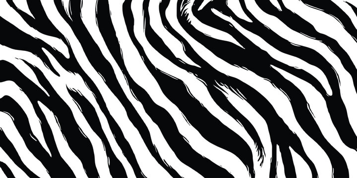 Abstract black and white animal print background with hand drawn wavy zebra stripes texture vector illustration.