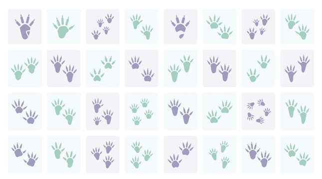 Possum footprints grid pattern illustration