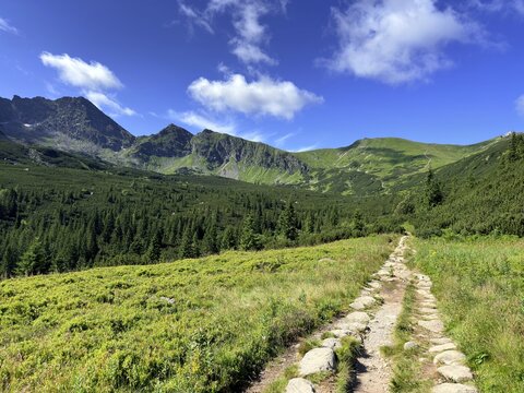 Dolina Gąsienicowa,  Tatry, Tatrzański Park Narodowy, TPN, Małopolska, Polska, Europa
