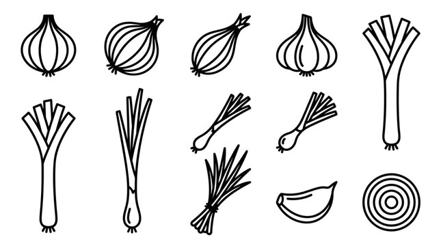 Collection of onion and garlic variety line icons.