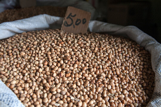 Feij&otilde;es vendidos a granel em mercado popular, destacando alimentos tradicionais da culin&aacute;ria brasileira e o com&eacute;rcio regional em feira livre no Nordeste.